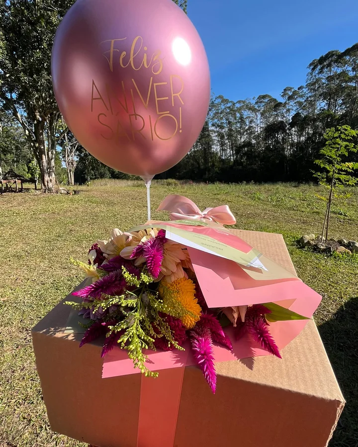 Presente de Aniversário, Sabores do Campo